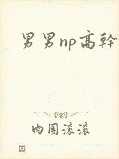 男男np高干文