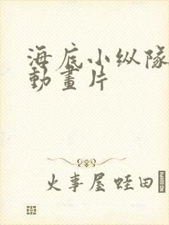 海底小纵队全集动画片
