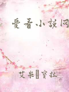 爱看小说网