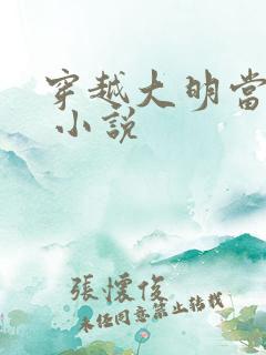 穿越大明当崇祯 小说