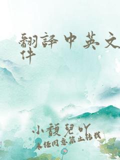 翻译中英文的软件
