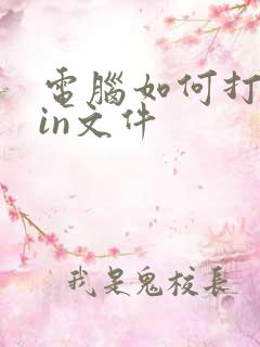 电脑如何打开bin文件