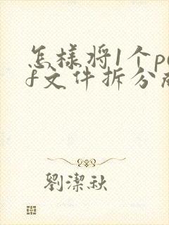 怎样将1个pdf文件拆分成多个pdf文件