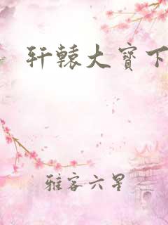 轩辕大宝下载