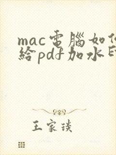 mac电脑如何给pdf加水印