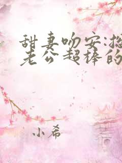 甜妻吻安:总裁老公超棒的 小说