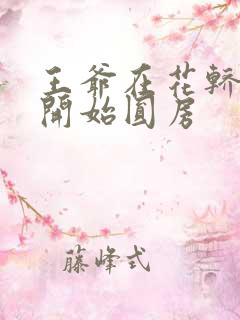 王爷在花轿里就开始圆房