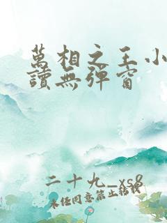 万相之王小说阅读无弹窗