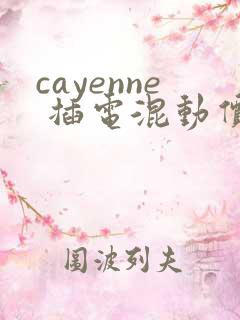 cayenne 插电混动价格多少