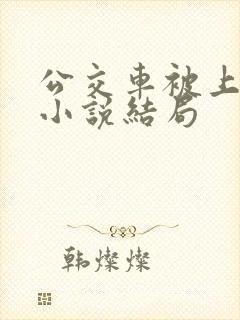 公交车被上高潮小说结局
