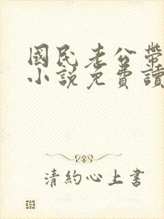国民老公带回家小说免费读