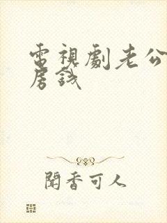 电视剧老公的私房钱