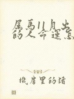 属马11月出生的人命运怎么样