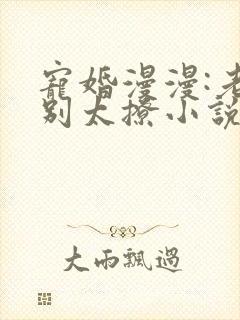 宠婚漫漫:老公别太撩小说txt