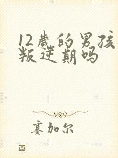 12岁的男孩是叛逆期吗