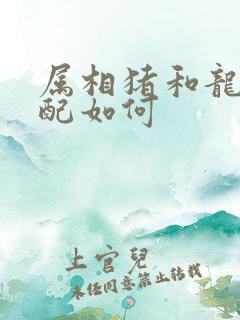 属相猪和龙的婚配如何