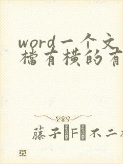 word一个文档有横的有竖的