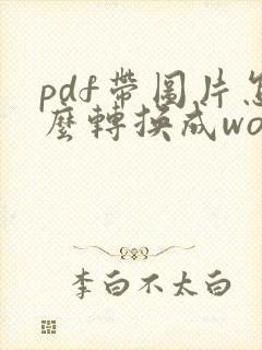 pdf带图片怎么转换成word
