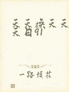 天天操天天干天天日91