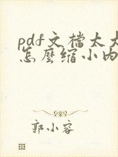 pdf文档太大怎么缩小内存