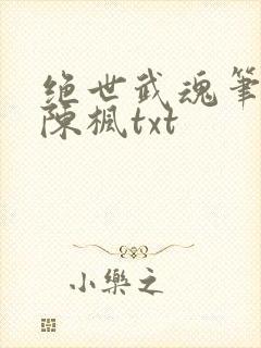 绝世武魂笔趣阁陈枫txt