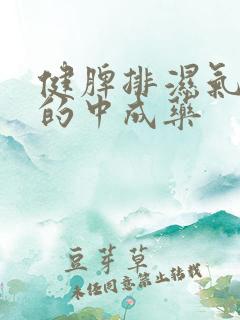 健脾排湿气最好的中成药