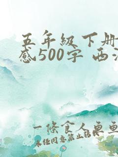 五年级下册读后感500字 西游记