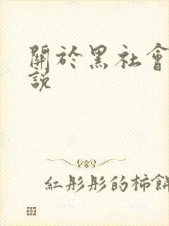 关于黑社会的小说
