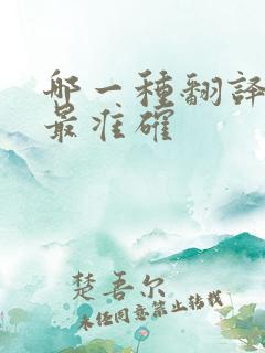哪一种翻译软件最准确