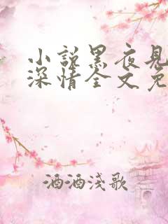 小说黑夜见过他深情全文免费阅读
