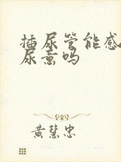 插尿管能感觉到尿意吗