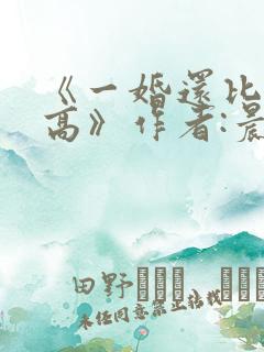《一婚还比一婚高》作者:晨雾的光