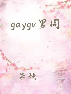 gaygv男同