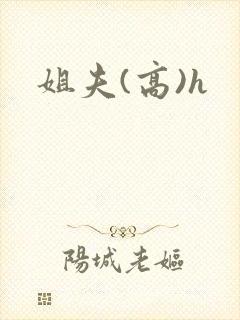 姐夫(高)h