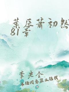 叶辰萧初然7081章