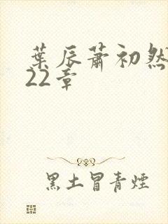 叶辰萧初然4122章