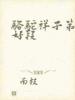 骆驼祥子第三章好段