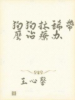 狗狗拉稀带血怎么治疗办
