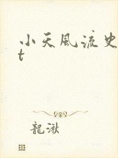 小天风流史txt