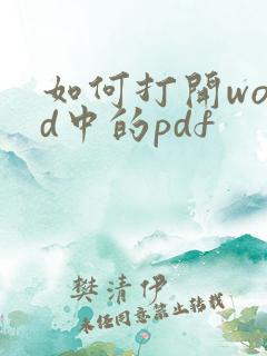 如何打开word中的pdf