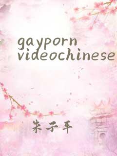 gaypornvideochinese
