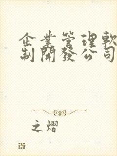 企业管理软件定制开发公司