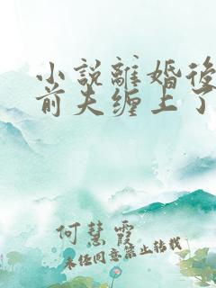 小说离婚后我被前夫缠上了阅读