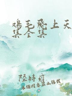 鸡毛飞上天60集全集
