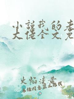 小说我的老公是大佬全文免费阅读