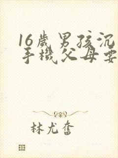 16岁男孩沉迷手机父母要怎么解决
