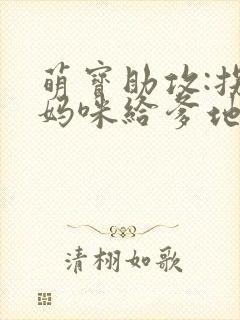 萌宝助攻:拐个妈咪给爹地