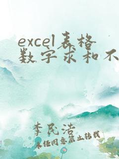excel表格数字求和不了怎么回事