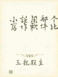 小说用哪个ai写作软件比较好
