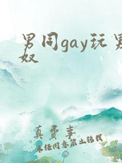 男同gay玩男奴